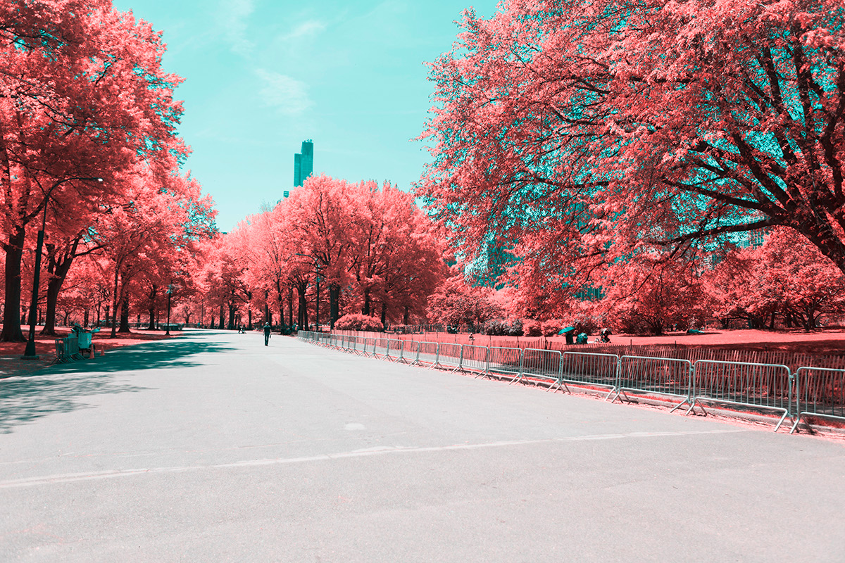 infrared-nyc-01